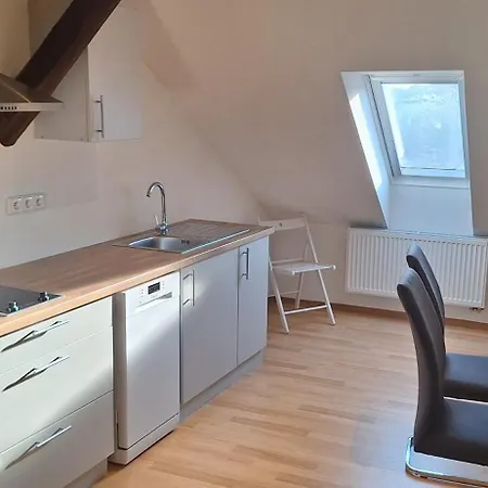 Apartman Penelope Zatec  Exterior photo