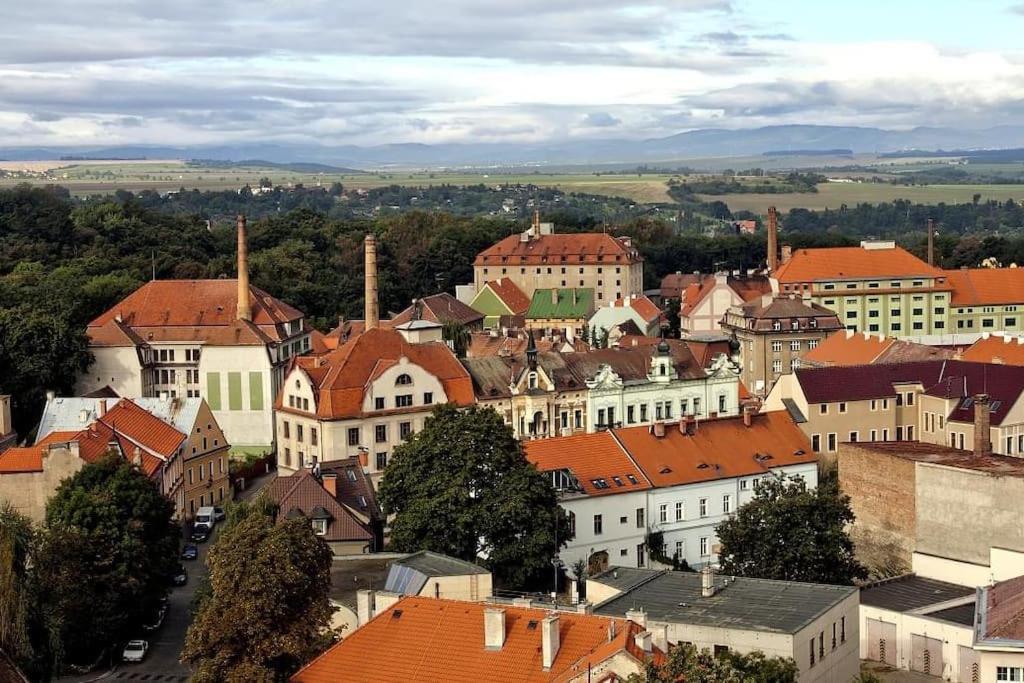 Penelope * Zatec (Usti nad Labem)